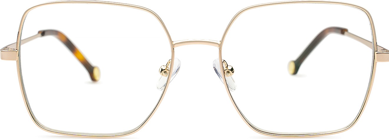 Lentiamo LEONIE VILÁGOS ARANY