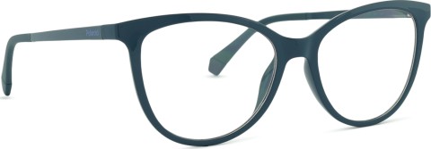 Polaroid PLD 6138/CS ZI9 53 (clip-on)