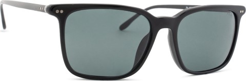 Polo Ralph Lauren 0PH 4194U 500187 56