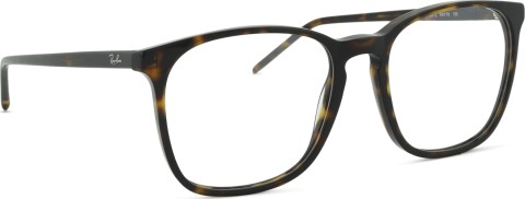 Ray-Ban 0RX5387 2012 54