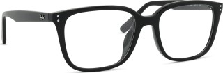 Ray-Ban 0RX7248D 2000 55