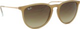 Ray-Ban Erika RB4171 681413 54