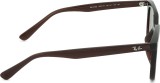 Ray-Ban RB4439D 623173 54 38338