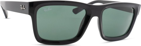Ray-Ban Warren RB4396 667771